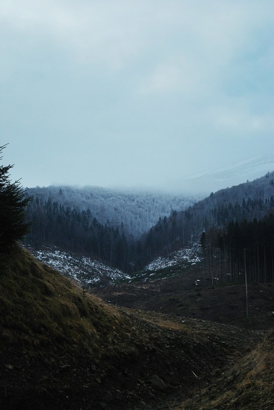Фотографія варварварство серед гір... / Алиса Семёнова / photographers.ua