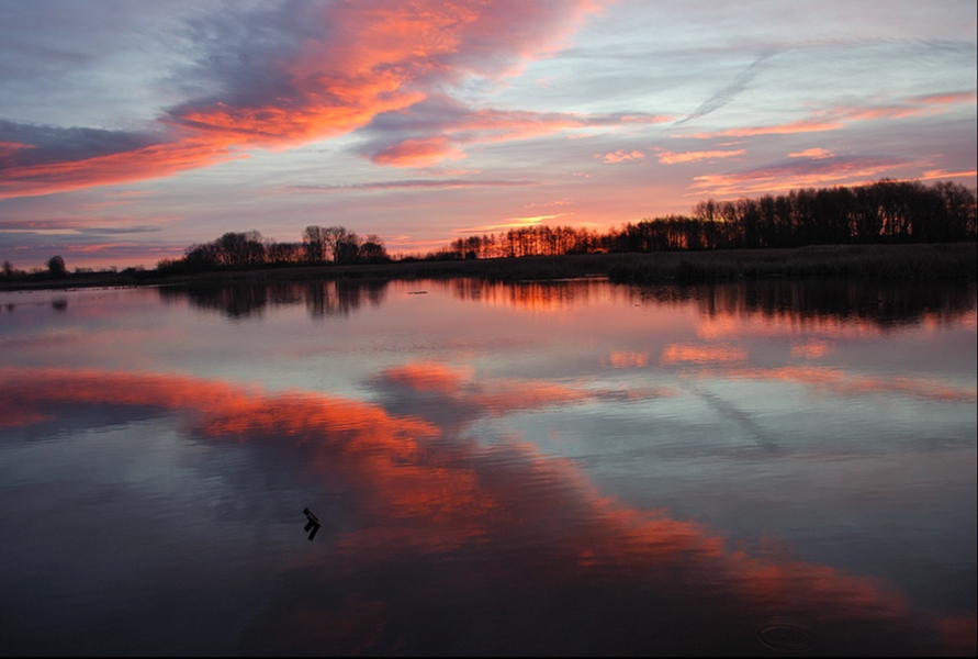 Фотографія Схід сонця над річкою Случ / Алиса Семёнова / photographers.ua