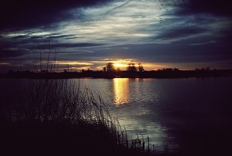 Фотографія Схід сонця над річкою Случ / Алиса Семёнова / photographers.ua