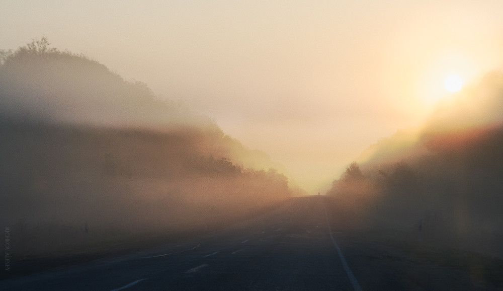 Фотографія Утро, дорога, туман / Алексей Рычков / photographers.ua