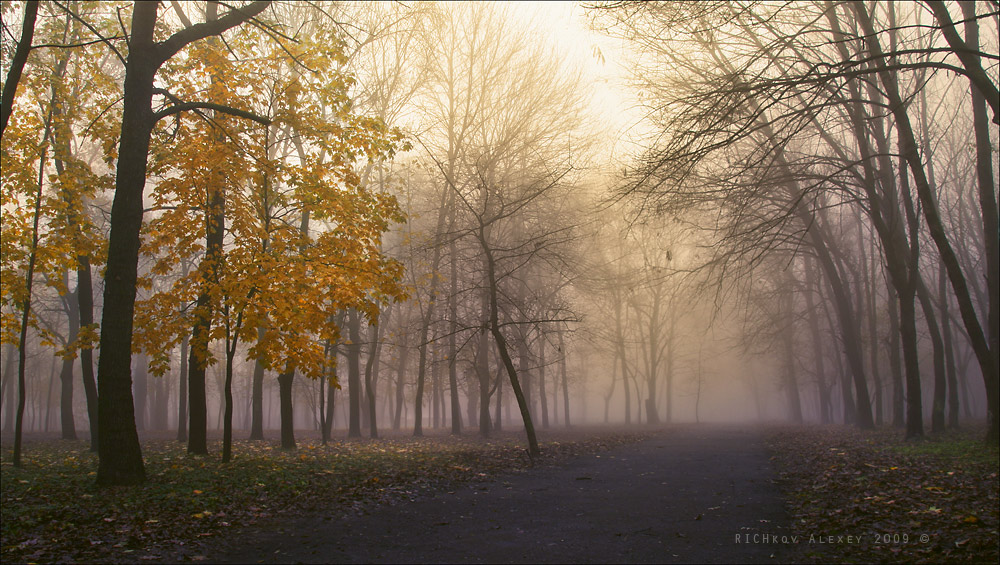 Фотографія Таинственый парк / Алексей Рычков / photographers.ua