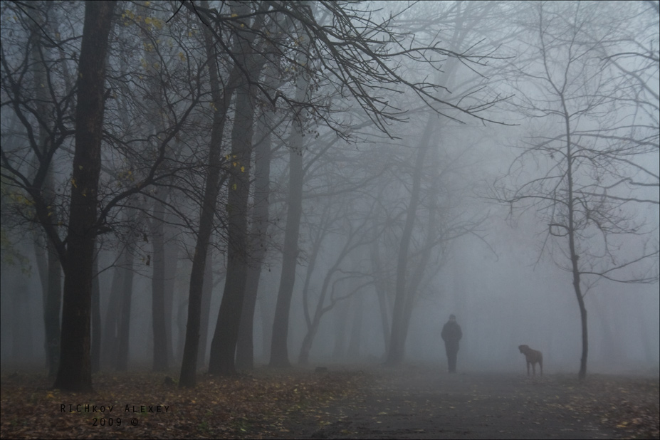 Фотографія Туманная прогулка / Алексей Рычков / photographers.ua