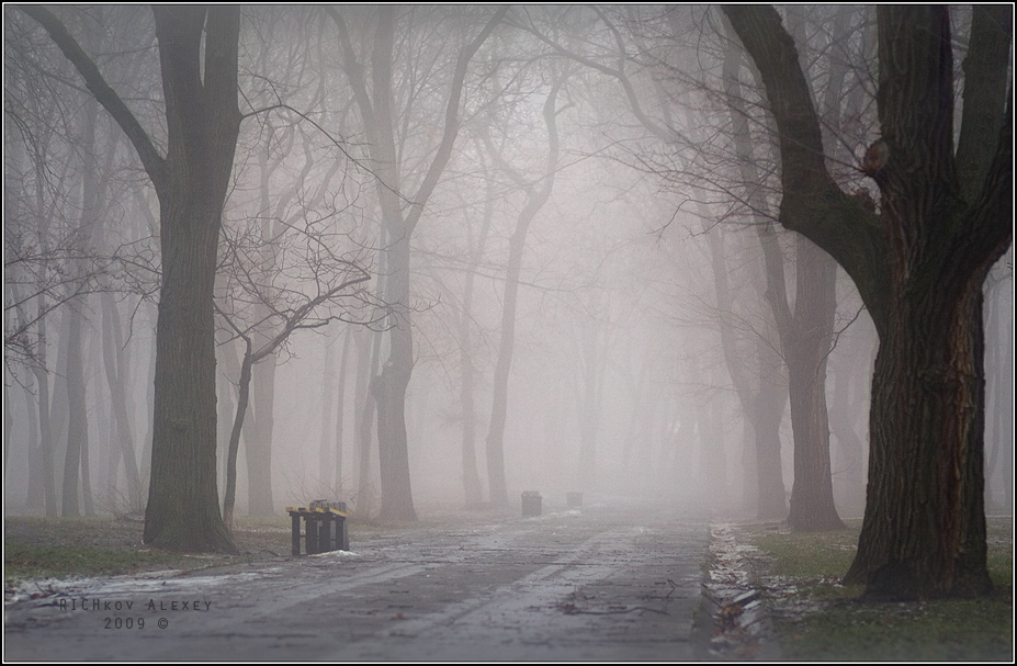 Фотографія Сиреневый туман / Алексей Рычков / photographers.ua