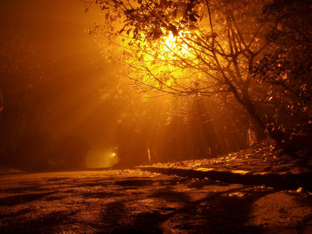 Фотографія Я нашел убежище солнца на ночь... / Алексей Рычков / photographers.ua