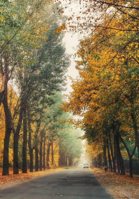 Фотографія Осенний вайб / Алексей Рычков / photographers.ua