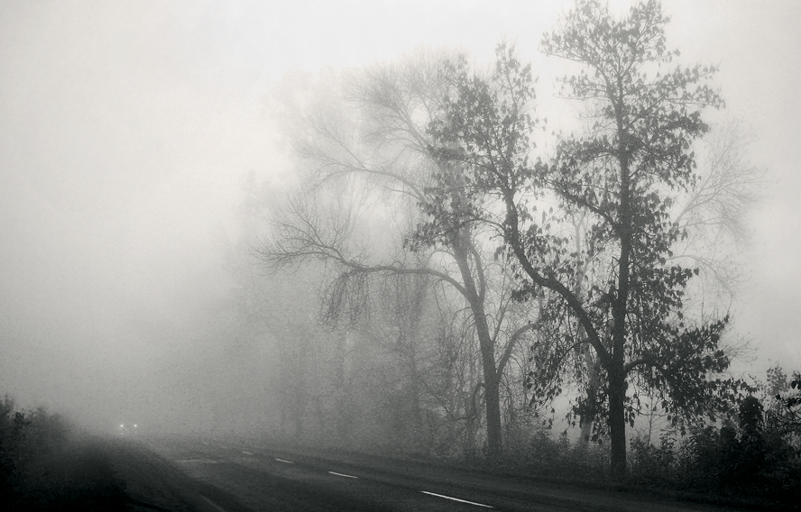 Фотографія Осеннее расставание... / off line... / photographers.ua