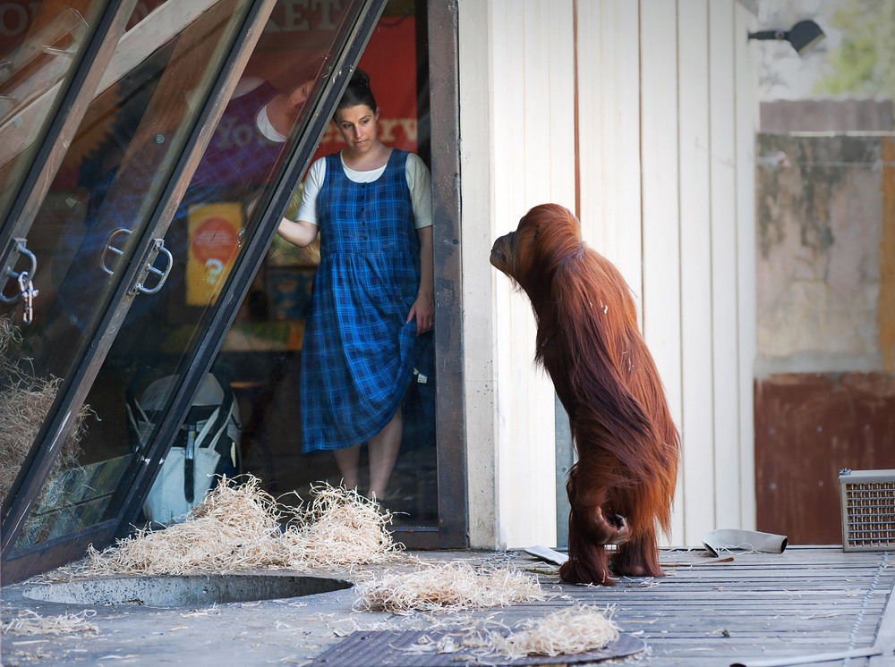 Фотографія Люди и Звери / Александр Бачинский / photographers.ua