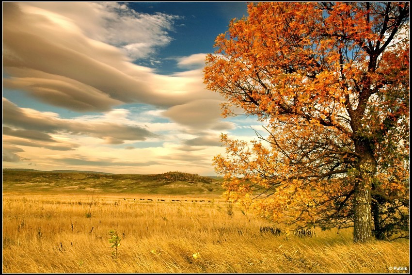 Фотографія Уж небо осеннью дышало... / Александр Лычак / photographers.ua