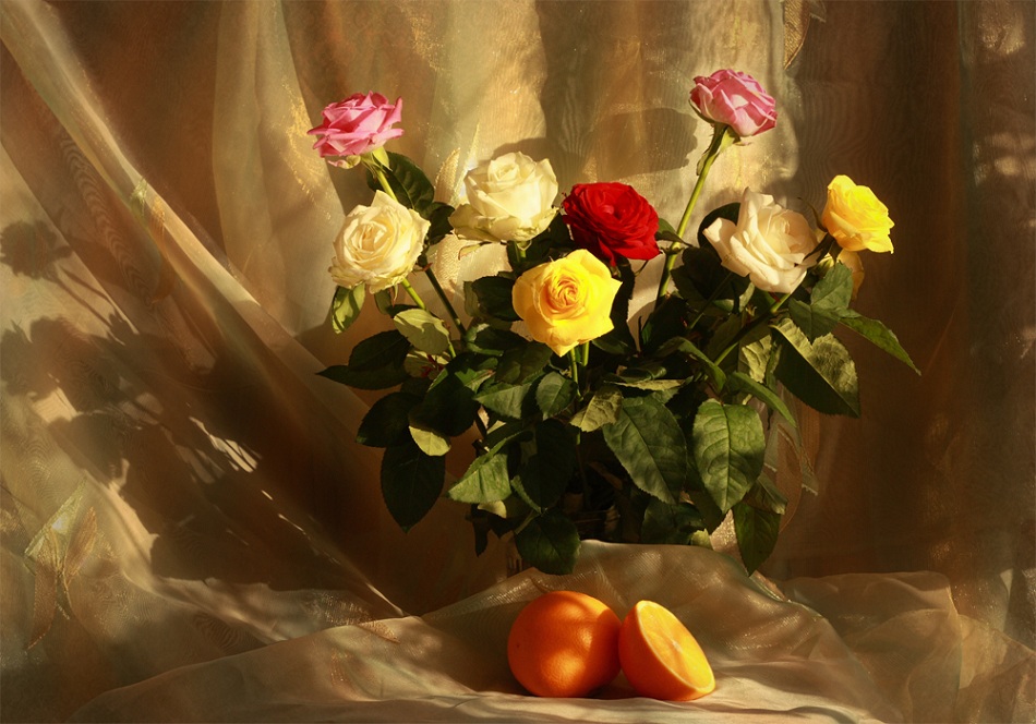 Фотографія натюрморт с розами / Tetiana Tkachenko / photographers.ua
