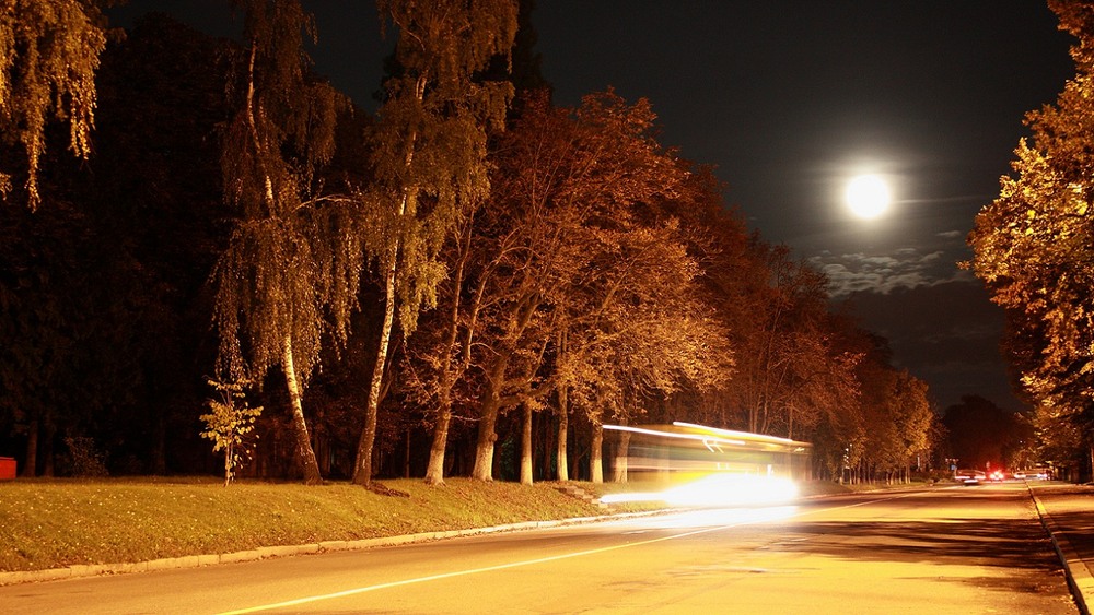 Фотографія нічний маршрут / Tetiana Tkachenko / photographers.ua