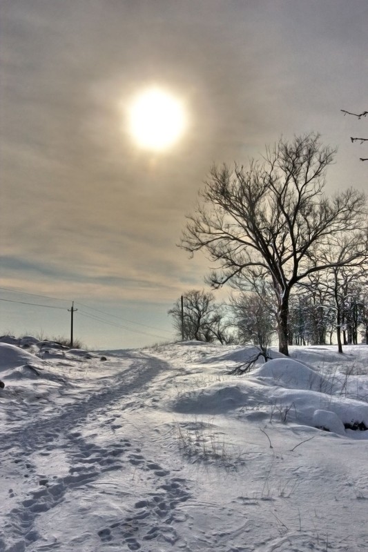 Фотографія Мороз и солнце, день чудесный! / qtrial / photographers.ua