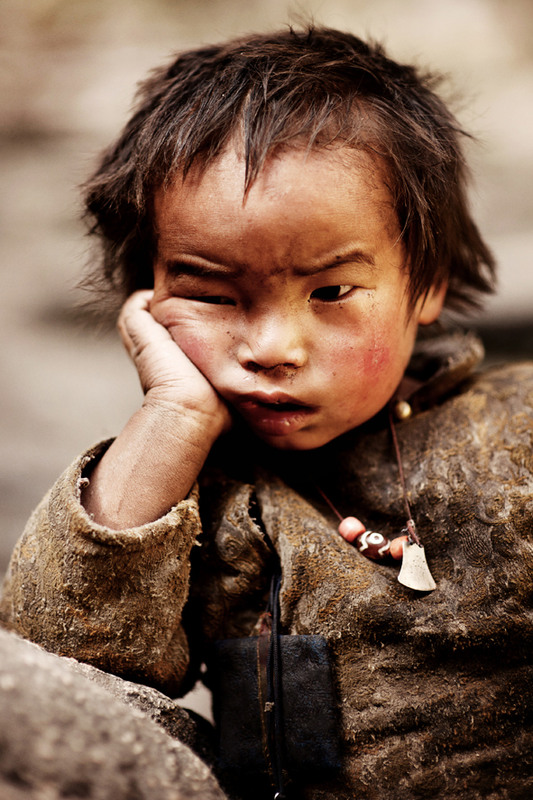 Фотографія Суровый тибетец / Настя Гуз / photographers.ua