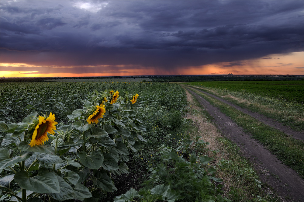 Фотографія Пейзаж / денис бодров / photographers.ua