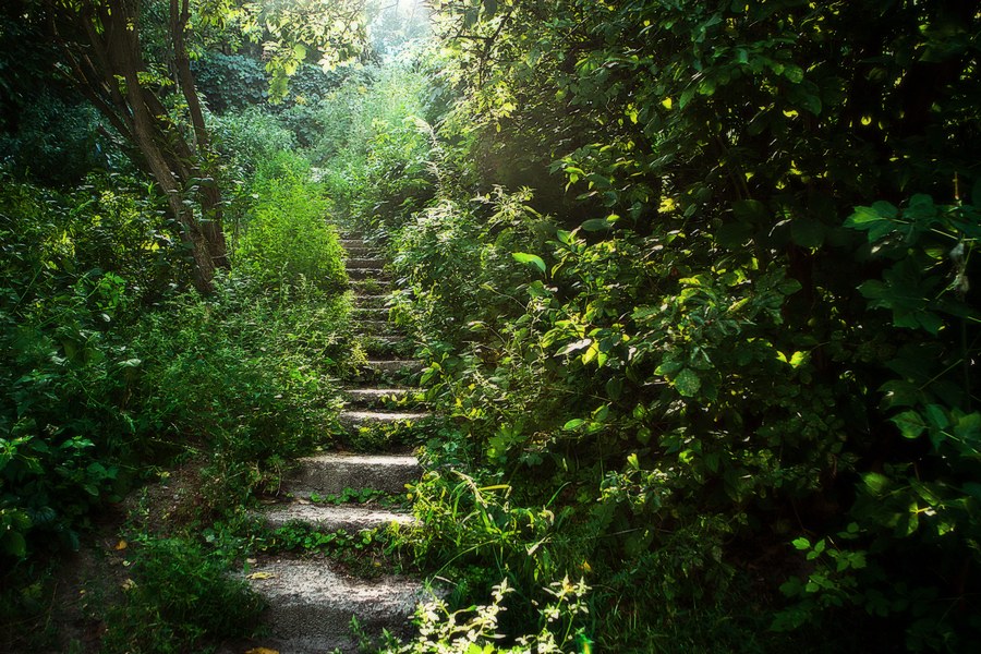 Фотографія Stairway To Heaven / Кирилл Вязанкин / photographers.ua