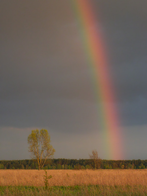 Фотографія Пейзаж / Александр Ящук / photographers.ua