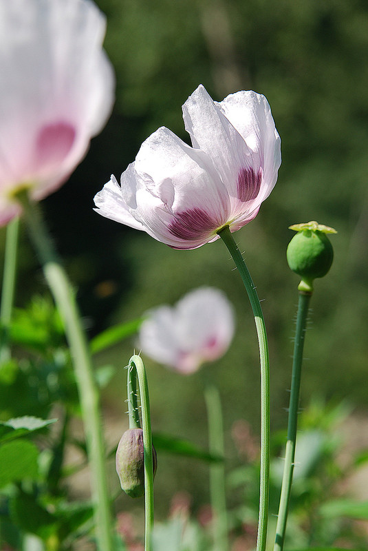 Фотографія Пейзаж / Серж Якубович / photographers.ua