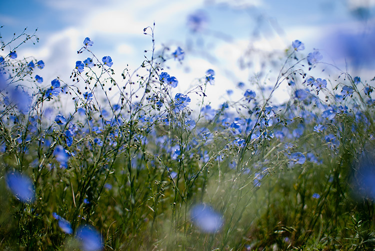 Фотографія ... / Vitaly Domnikov / photographers.ua