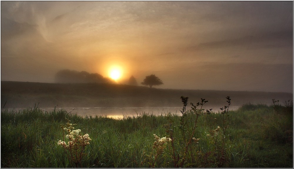 Фотографія rozhdenije utra / Normund Kolberg / photographers.ua