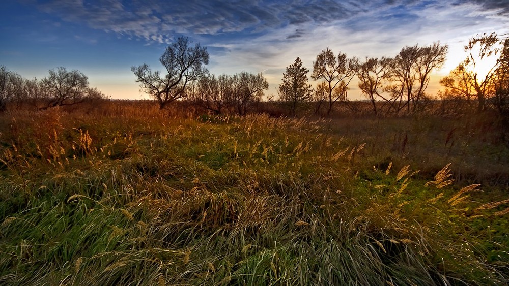 Фотографія осенний ветер заката / Normund Kolberg / photographers.ua