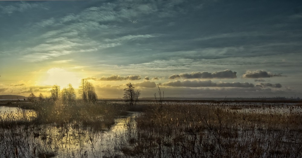 Фотографія заливные луга / Normund Kolberg / photographers.ua