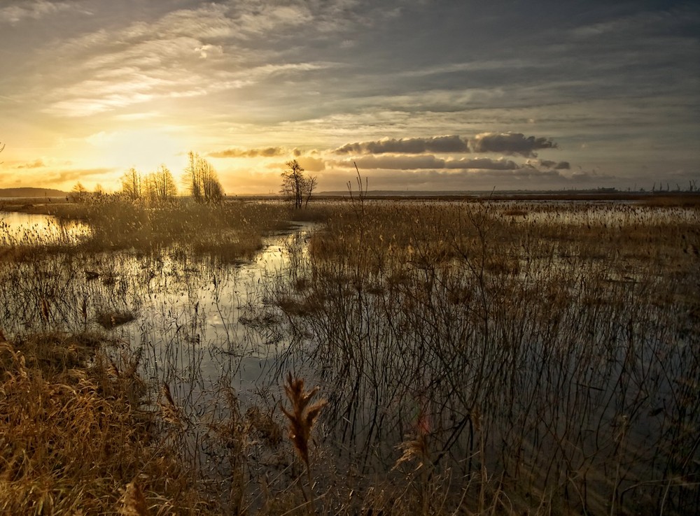 Фотографія Пейзаж / Normund Kolberg / photographers.ua