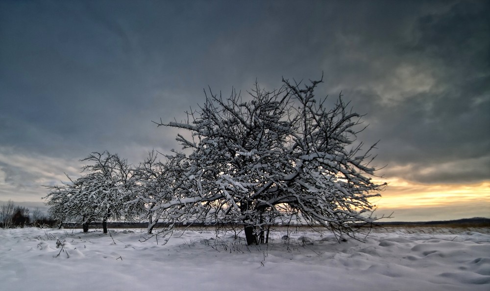 Фотографія Пейзаж / Normund Kolberg / photographers.ua