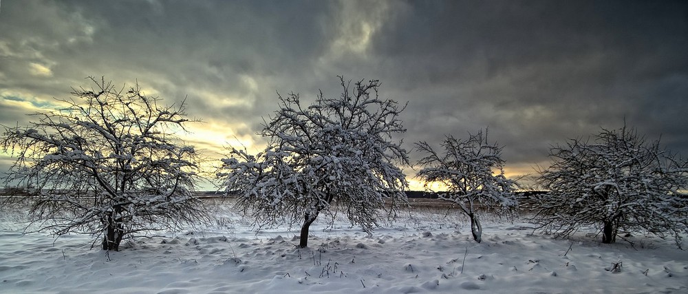 Фотографія Пейзаж / Normund Kolberg / photographers.ua