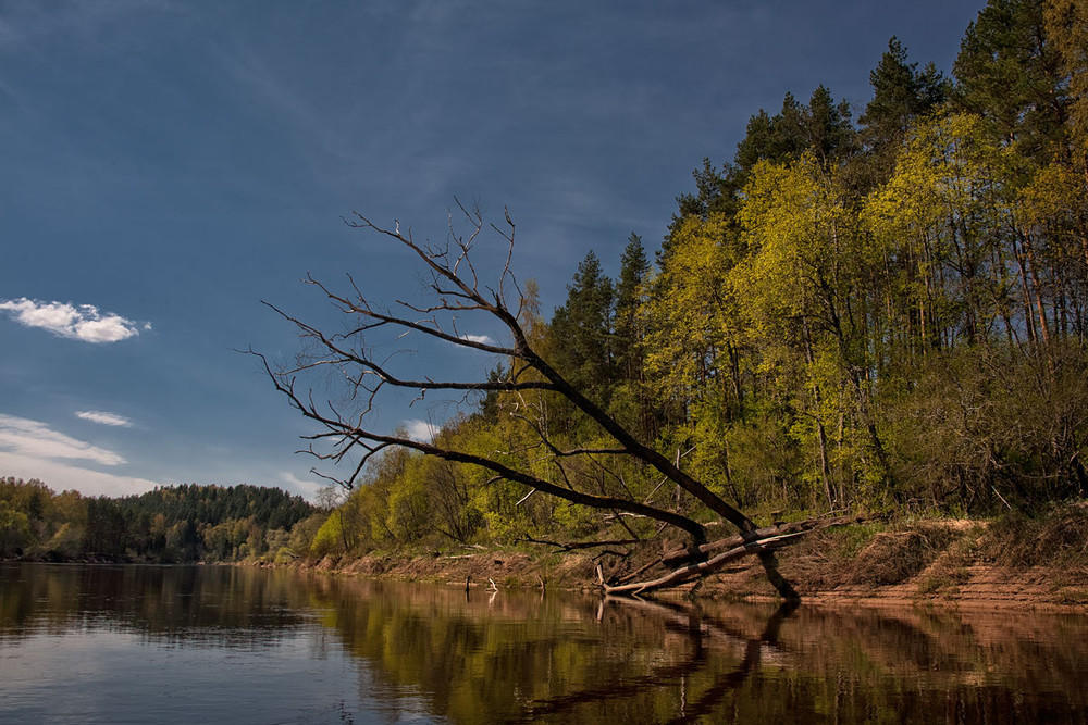 Фотографія Пейзаж / Normund Kolberg / photographers.ua