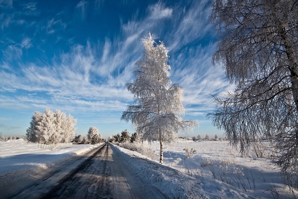 Фотографія кружева на обочине / Normund Kolberg / photographers.ua