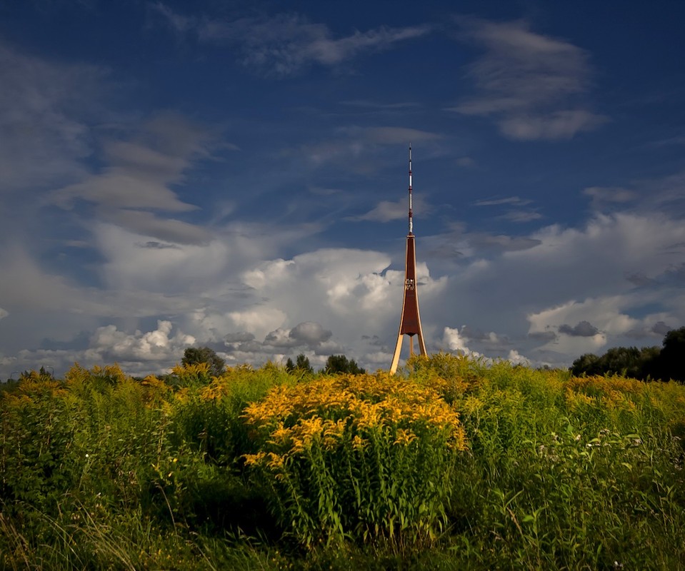 Фотографія готовий до зльоту / Normund Kolberg / photographers.ua