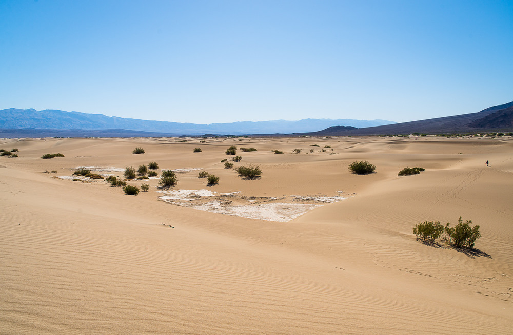 Фотографія Mesquite Flat Sand Dunes / greyman / photographers.ua