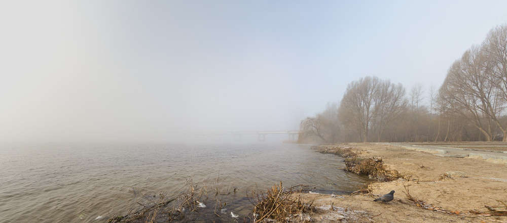 Фотографія Морозный туман / greyman / photographers.ua