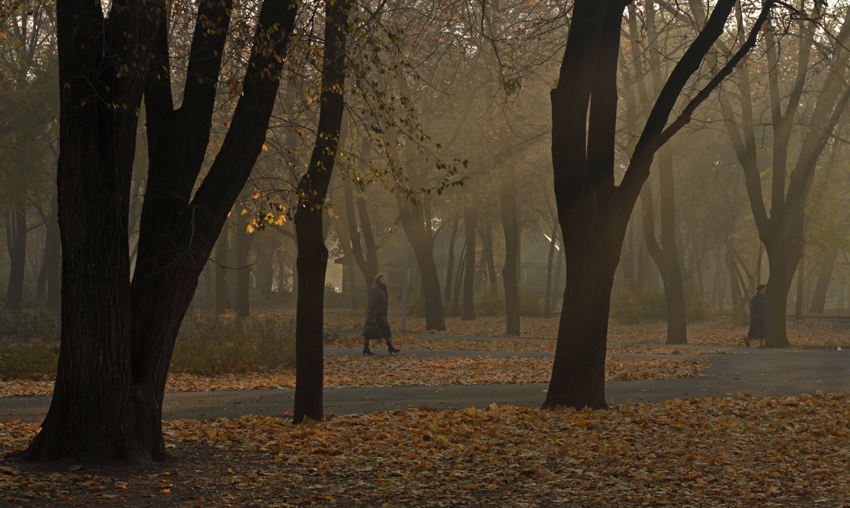 Фотографія Осень, утро, парк / Роман Кириченко / photographers.ua