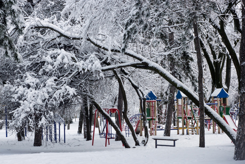 Фотографія "В летнем парке зима..." / Роман Кириченко / photographers.ua