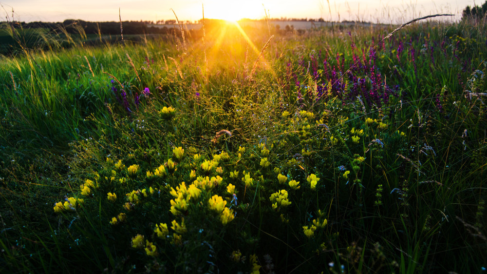 Фотографія Пейзаж / Волков Анатолий / photographers.ua