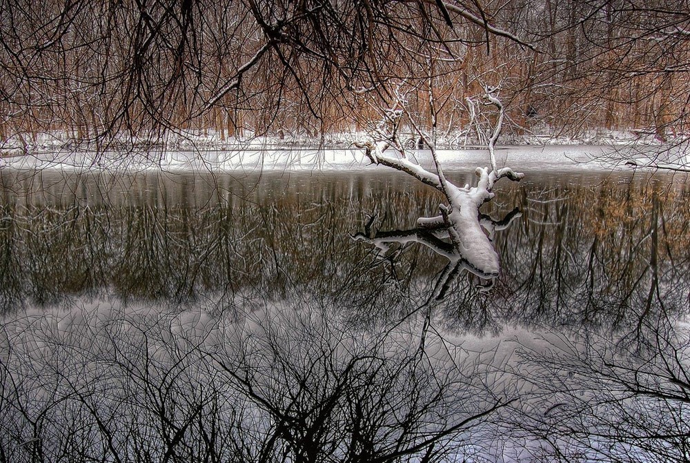 Фотографія лосиное озеро / Tina Grach / photographers.ua