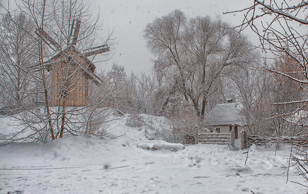 Фотографія Снег идет... / Tina Grach / photographers.ua