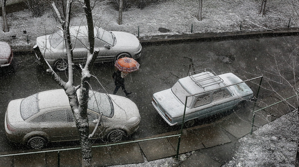 Фотографія Последний снег / Tina Grach / photographers.ua