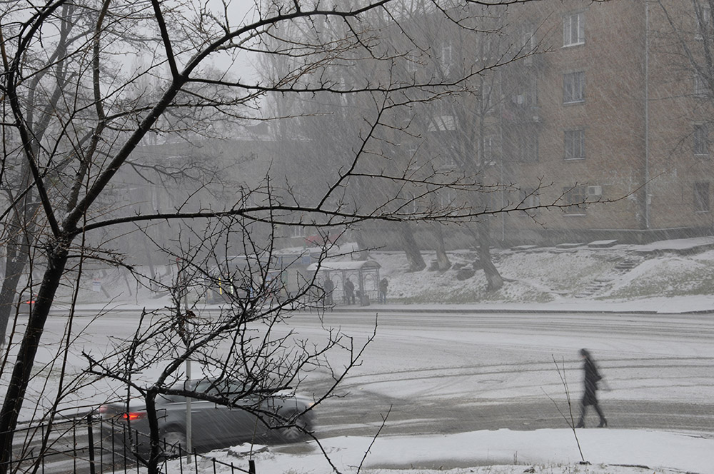 Фотографія Первый снег / Сергій Шульженко / photographers.ua