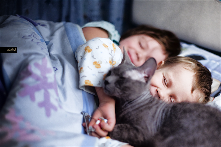 Фотографія sweet dreams / alexey ilchenko / photographers.ua