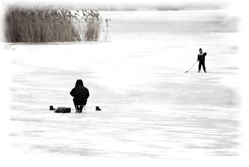 Фотографія ШАЙБУ! / A. kRaY_(Miller) / photographers.ua