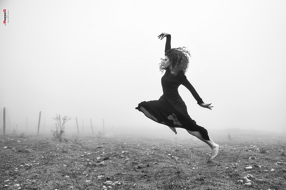 Фотографія Dancing black swan / Сергей Радин / photographers.ua