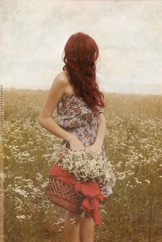 Фотографія The Field and Chamomiles / Lena Husevyk / photographers.ua