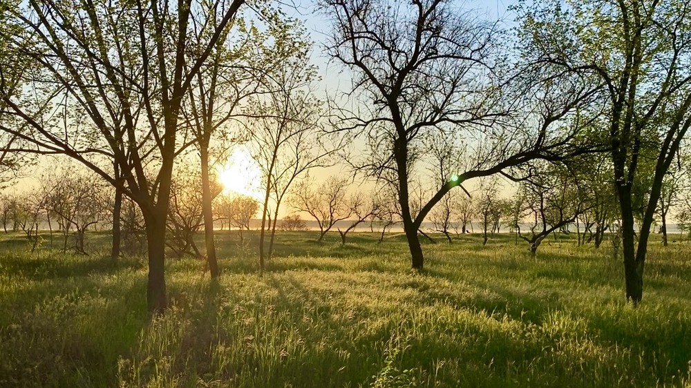 Фотографія Захід у Миколаєві / Наталья Козлова / photographers.ua