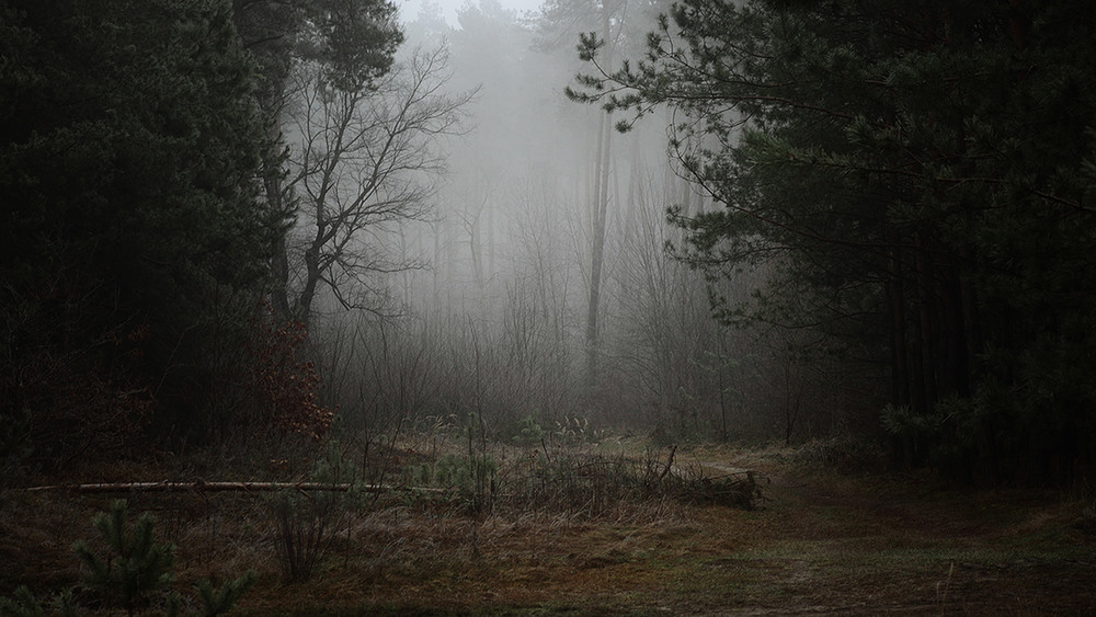 Фотографія Пейзаж / VVM / photographers.ua