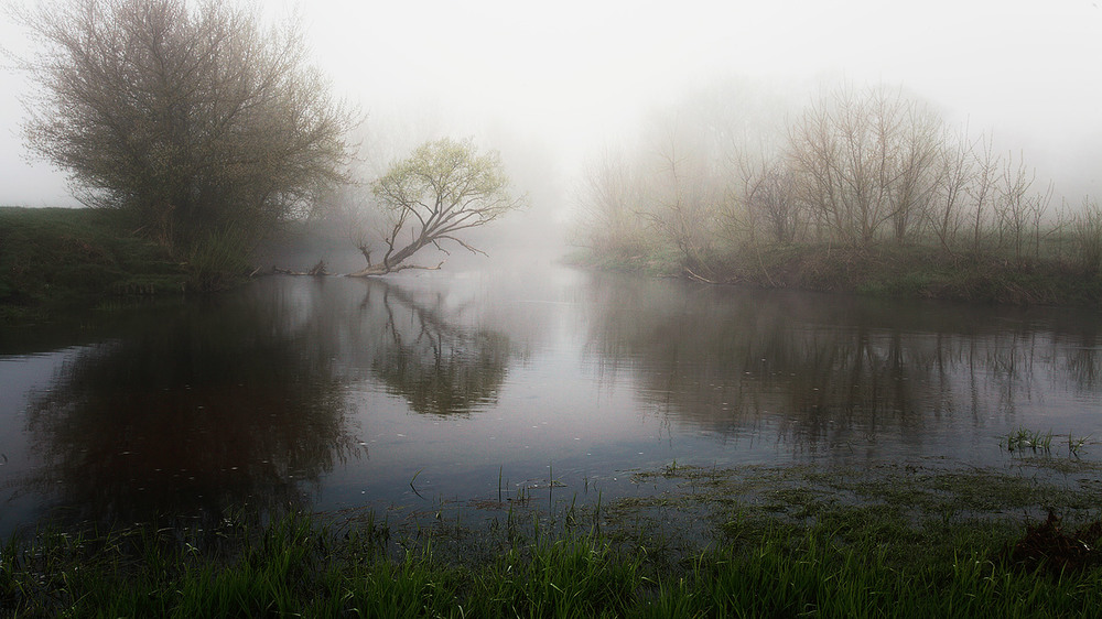 Фотографія Великодній ранок / VVM / photographers.ua