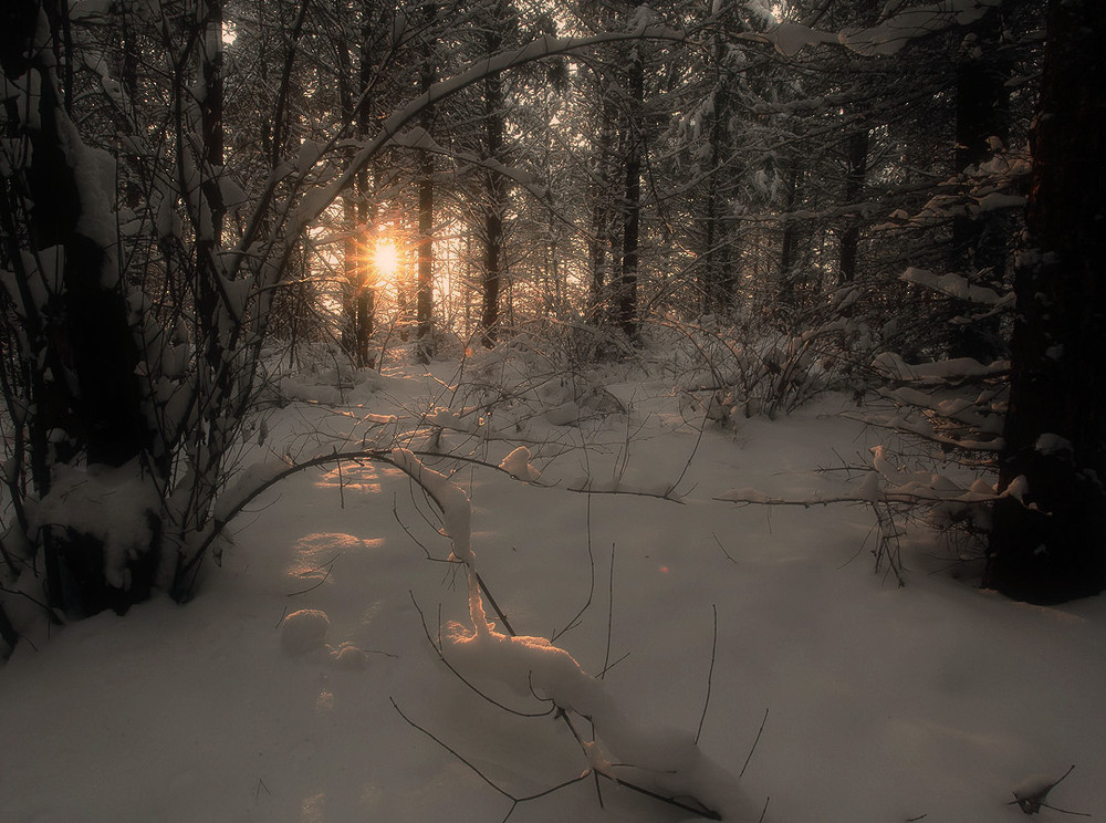 Фотографія тихо сонце спать лягає-2 / VVM / photographers.ua