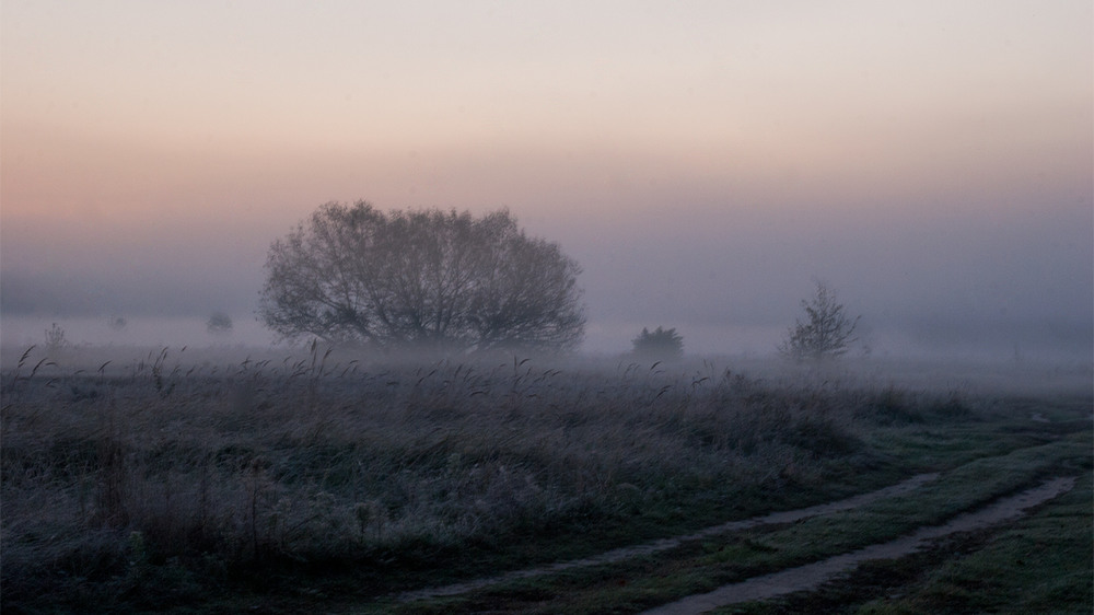 Фотографія Пейзаж / Елена Омельчук / photographers.ua