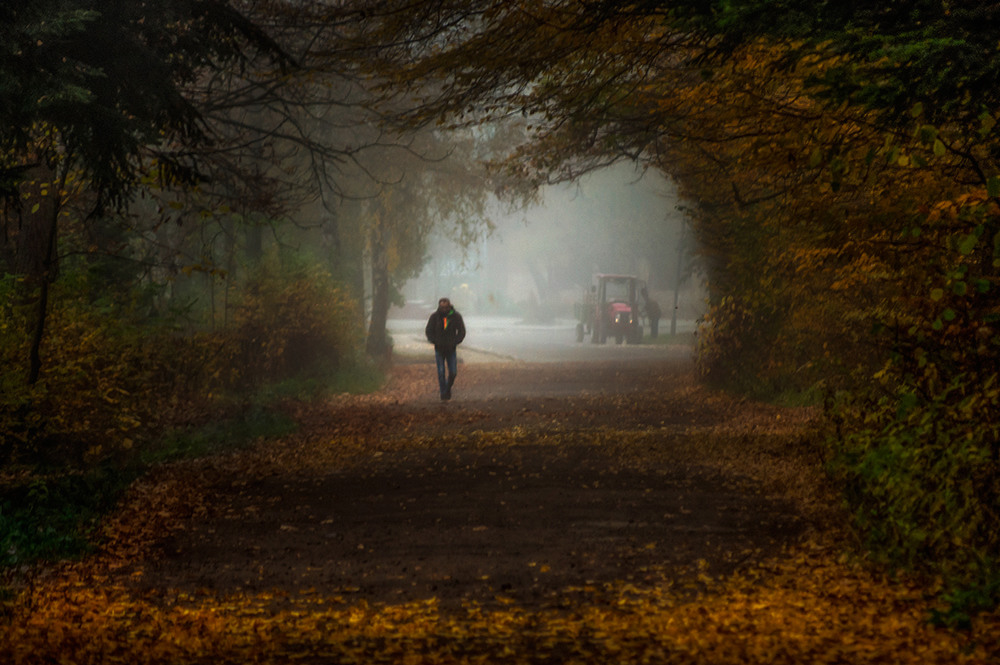 Фотографія Пейзаж / Елена Омельчук / photographers.ua