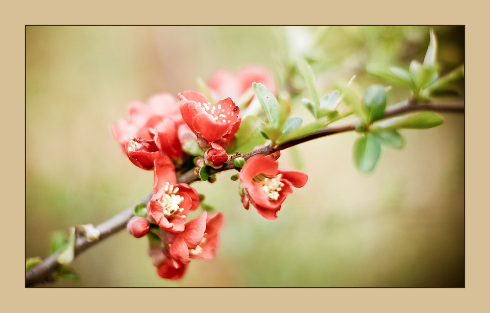 Фотографія Пейзаж / Иванникова Инна / photographers.ua